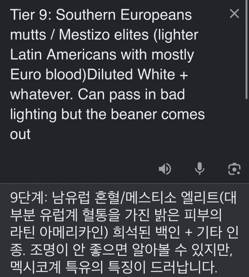 서양 커뮤에서 만든 인종 순위 20단계 (27)
