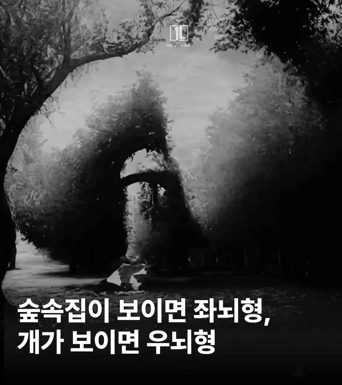 ㅇㅎ?)착시현상