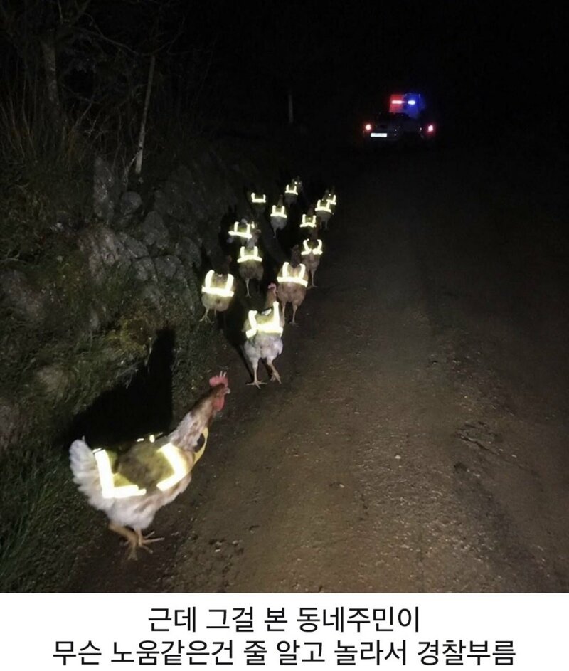 스페인에 출몰한 노움 (2)