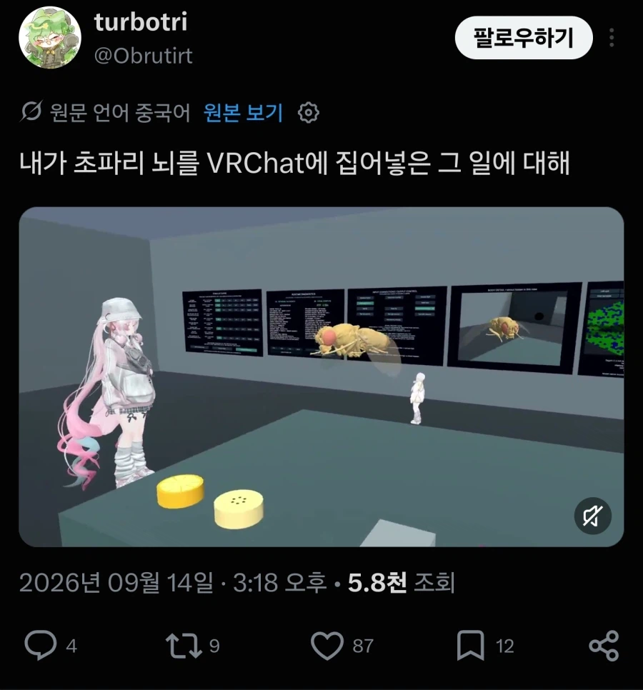 인간의 광기를 보여주는 초파리 뇌 신경망 활용 근황 (3)