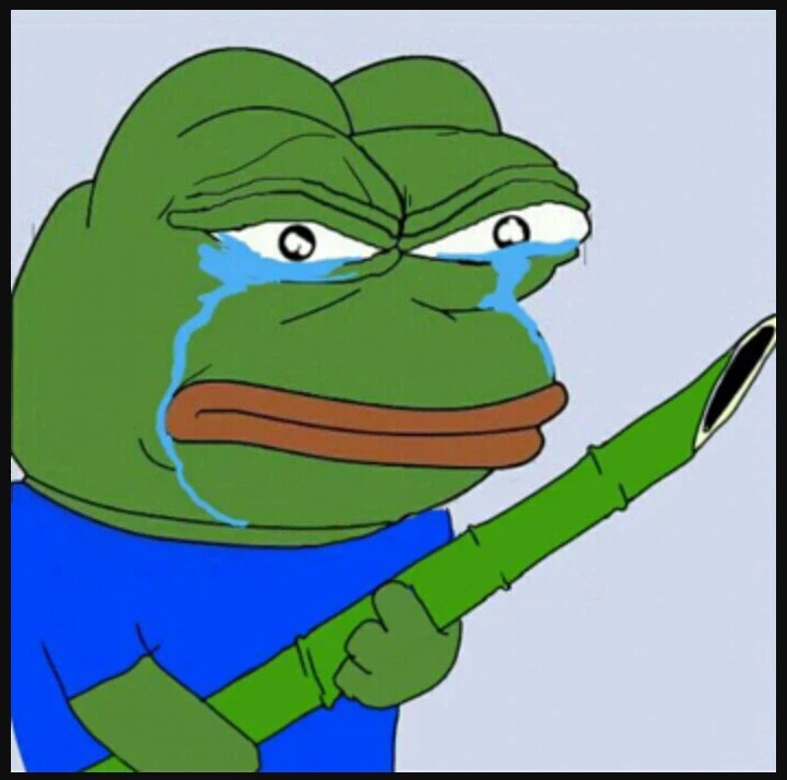 제길...일본인들은 거짓말쟁이야...!_1.webp