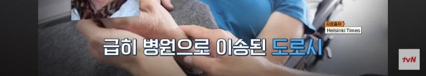 싱글벙글 심장 통증으로 비행기에서 쓰러졌는데 심장 전문의 15명이 타고 (25)