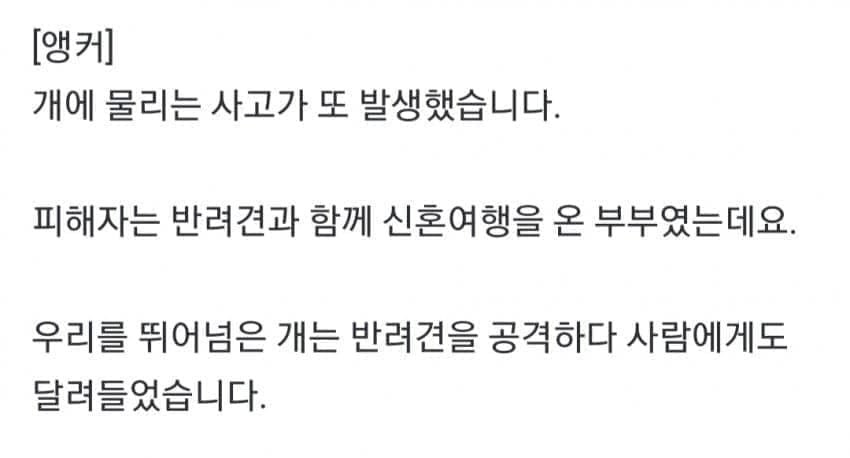 약혐) 안싱글벙글 보더콜리 물림 사고.. (2)