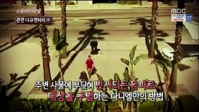 싱글벙글 리신이 음파 잘 맞히는 비법 (19)