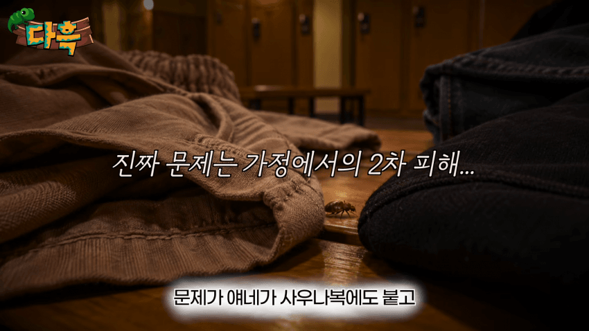 오싹오싹 부산 찜질방에 출몰해서 난리난 빈대(베드버그)상황 (43)
