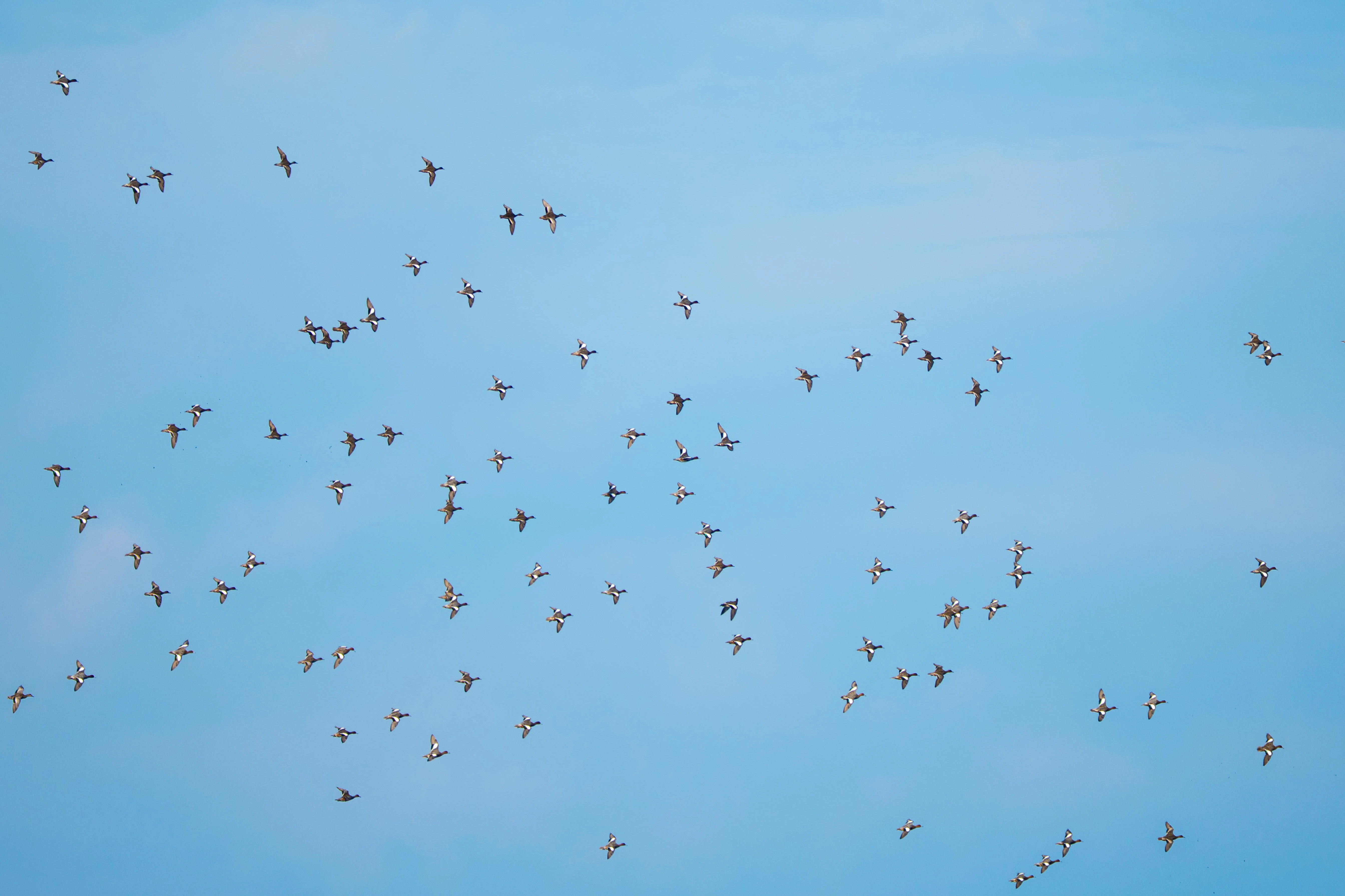500mm 광각새찍 투척 (28)