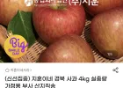 경북사과 4kg (25-30과) 가정용 산지직송 부사