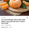 [지마켓]제주도 제철 카라향 로얄과 2.5kg(18,700원/무료)