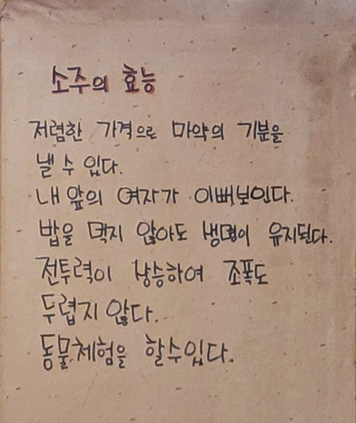 소주의 효능