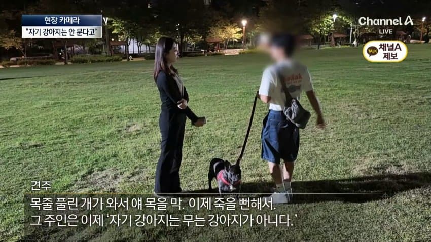 채널a) 단속원 퇴근하자...공원이 '개판' (34)