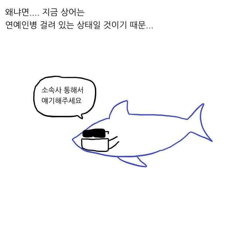 부산 상어의 미래 (3)