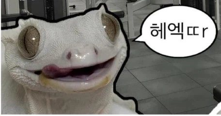 부장 : 퇴사 전 매너없는 행동 삼갑시다.. (2)