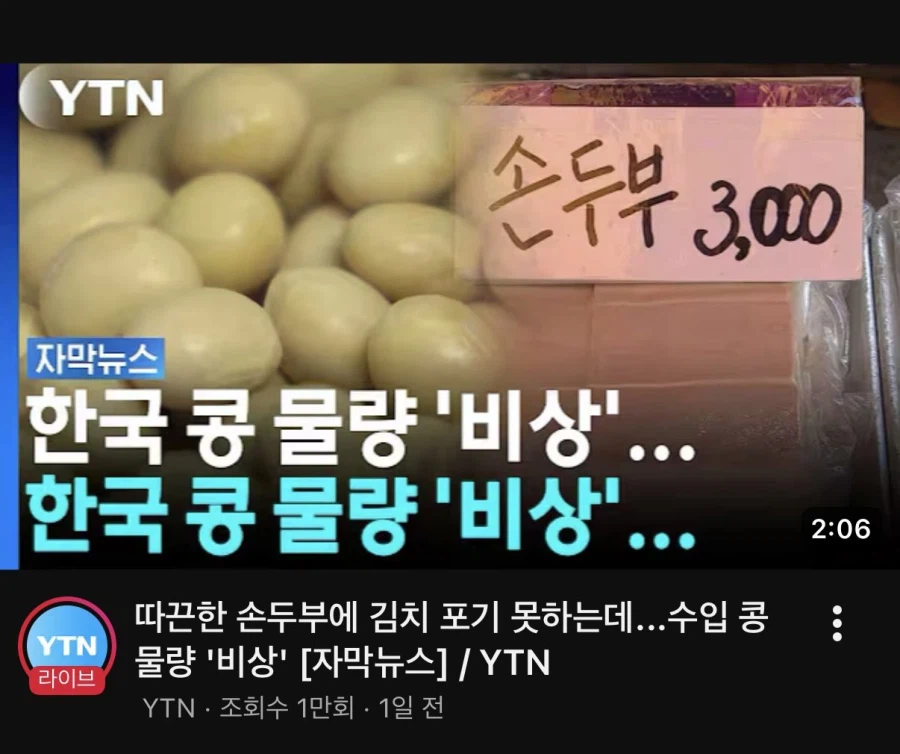 한국 콩 물량 비상