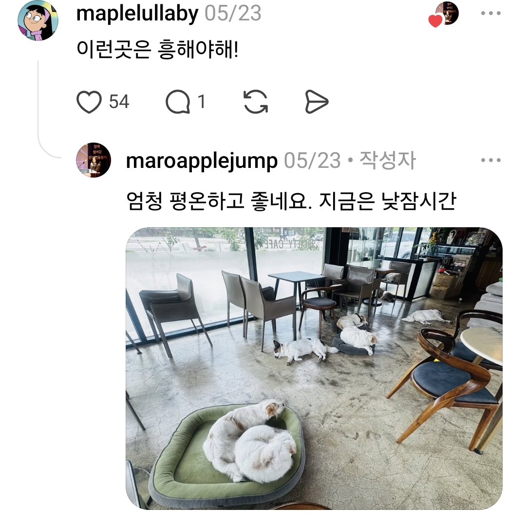 aiJPWu