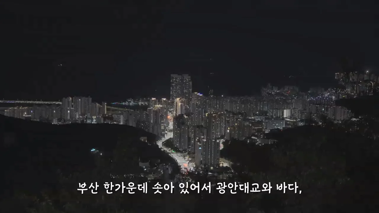지금 부산에 여행온다고 외국인들이 몰리는 이유 (90)