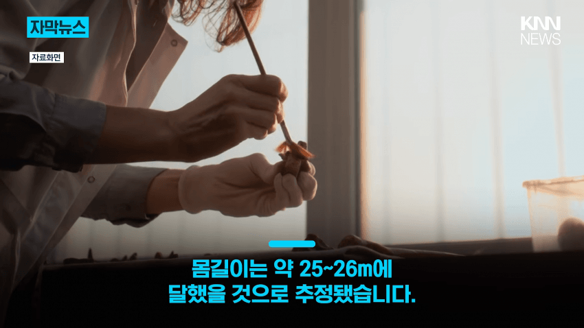 공사장에서 1억 년 전 초대형 공룡 발견 (11)