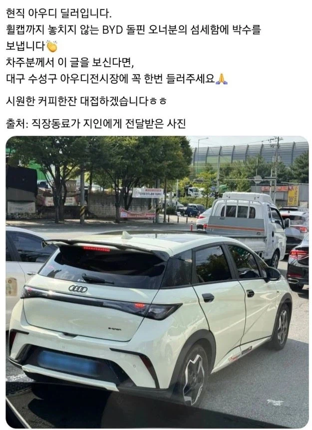 아우디 딜러가 극찬한 BYD차량