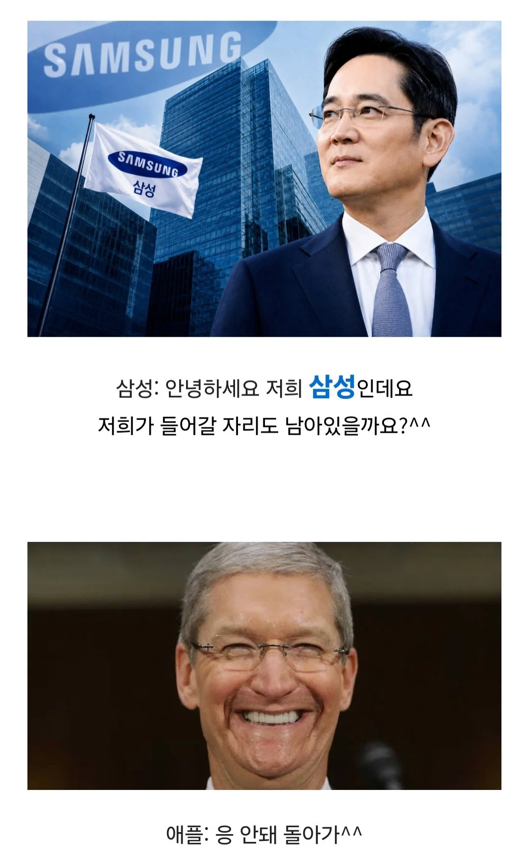 애플: 내 집에 다른 사람 들이지 마 삼성: 응 너네 집 현관 내꺼 (6)