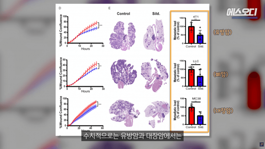 비아그라는 위대했다..역대급 암치료법 등장 (42)