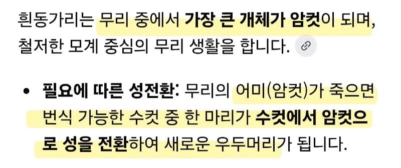 의외로 잘 몰랐던 니모의 숨겨진 비밀 (4)