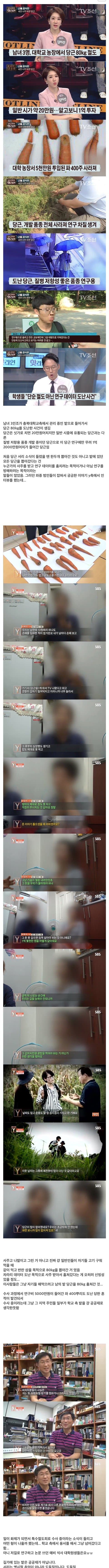 싱글벙글 1억짜리 당근 서리 사건의 결말