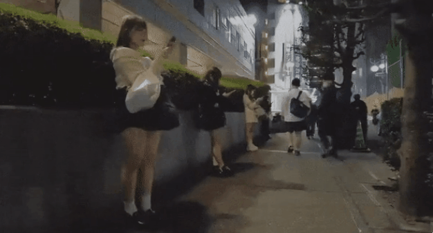 "성매매 걸려도 처벌 없는 나라"…중국인 매춘관광에 日 부글 (2)