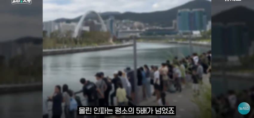 상어 한마리에 3만명 몰려, 부산 명소가 된 북항 (30)