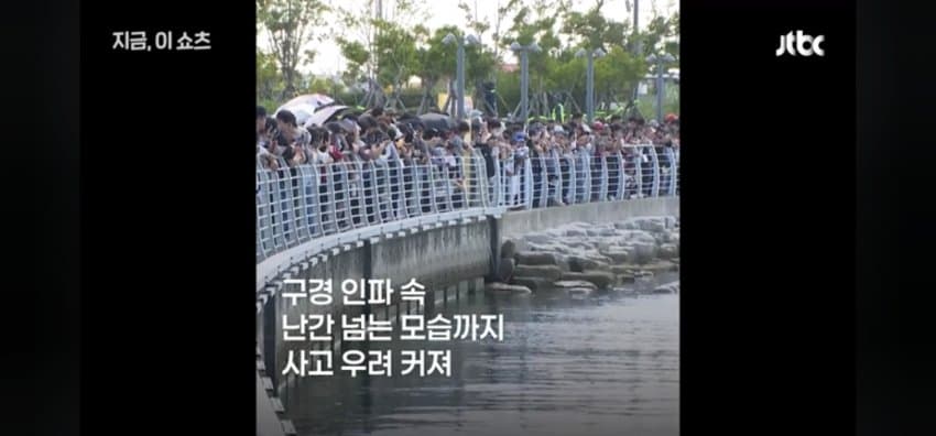 "우럭 먹자~" 부캉이에 생선 투척한 부산 시민 (12)
