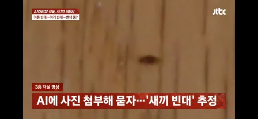 해운대 한 호텔에 빈대 출현…호텔은 "환불 불가" (11)