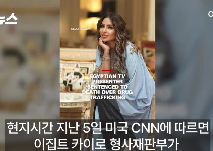 "팔로워 250만 유명 여성 방송인"에 사형 선고한 이집트