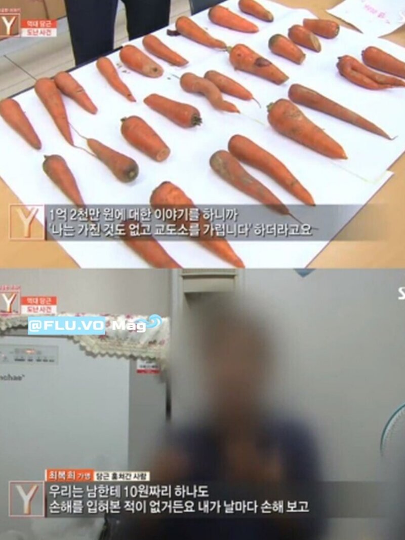 고기구워먹는다고 연구용 당근 몽땅캐간 지역주민들 (5)