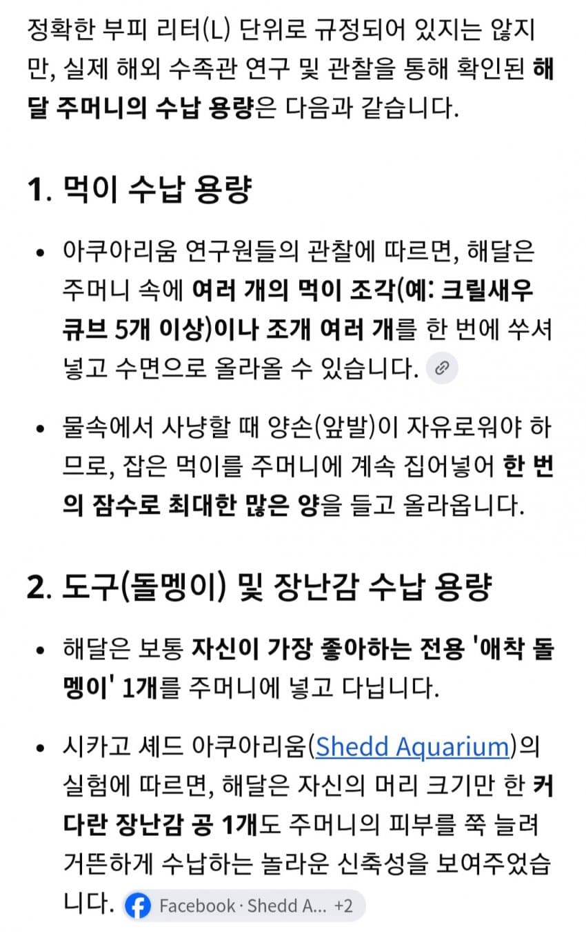 싱글벙글 의외로 잘 모르는 해달의 비밀 (2)