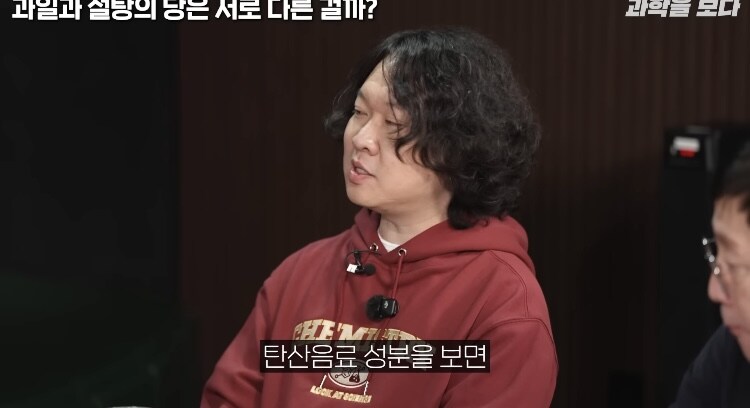 탄산음료 액상과당이 몸에 안좋은이유 (7)