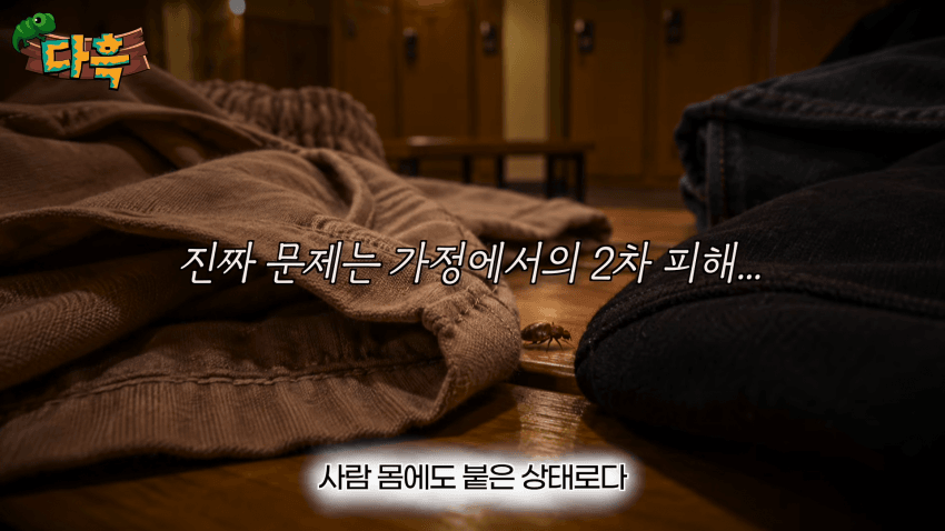 오싹오싹 부산 찜질방에 출몰해서 난리난 빈대(베드버그)상황 (44)