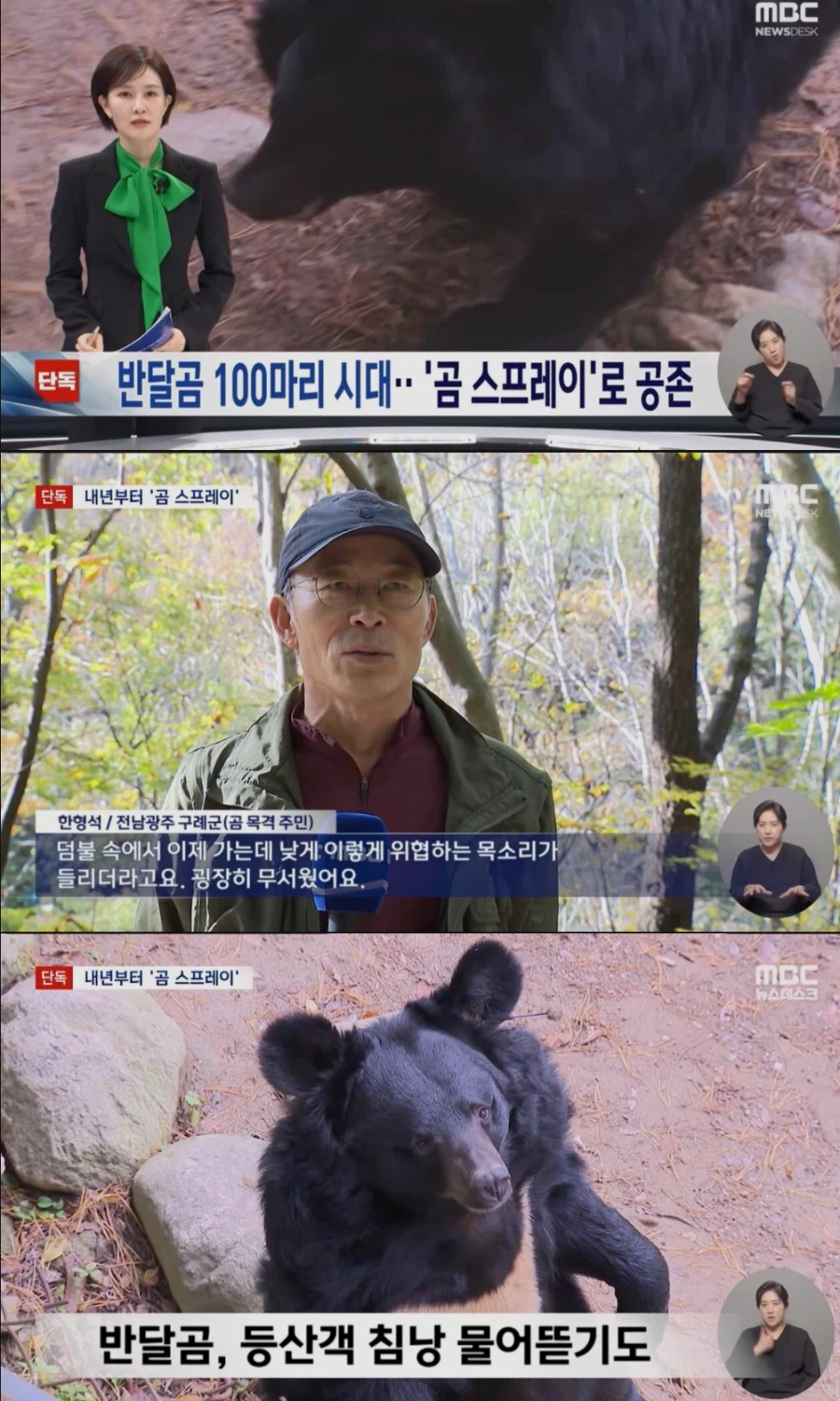지리산 곰 100마리 육박하자 내놓은 특단의 조치