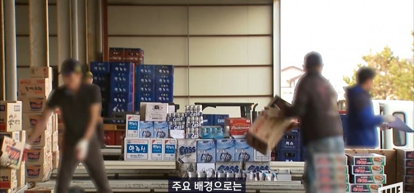 기능사 자격증 1위, 지게차 자격증... 왜 이렇게 인기? (20)