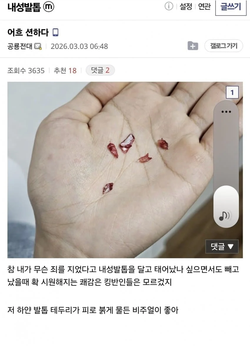 (혐) 인간의 정신력을 볼 수 있는 갤러리