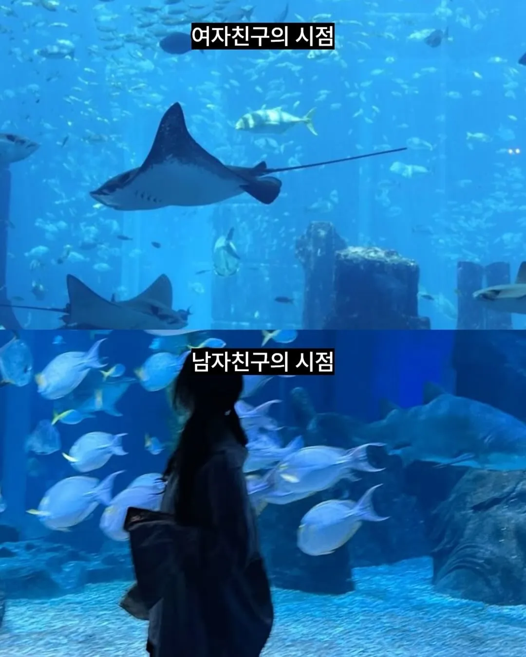 싱글벙글 여자들은 모르는 남자들의 시점.jpg