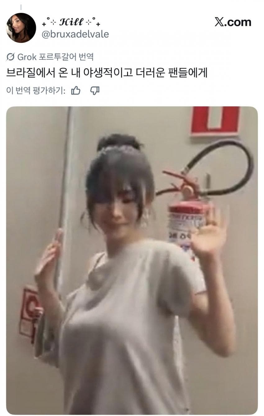 카리나 행동에 난리났다는 브라질 현지반응 (2)