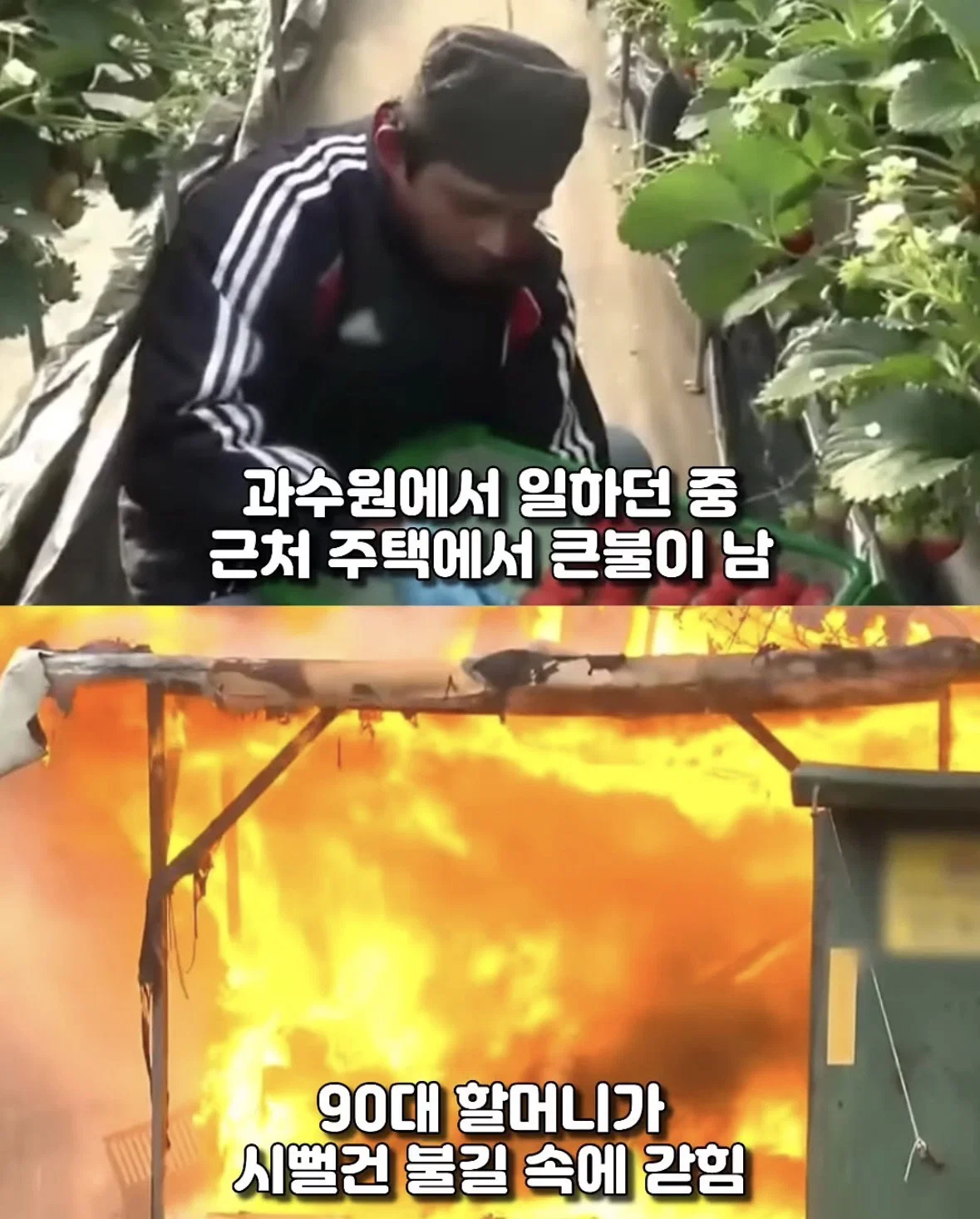 90대 할머니 구하려 대형 화재 불길 속으로 뛰어든 불법체류자의 최후 (4)