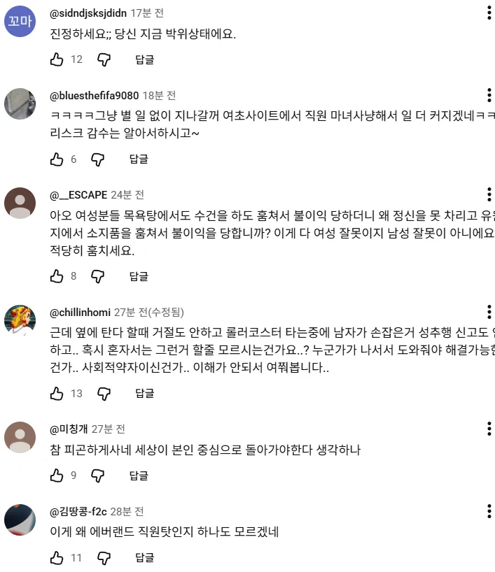 '여자 혼자 놀이기구 탔더니 생긴 일' 피해자 2차가해중인 남초 (5)