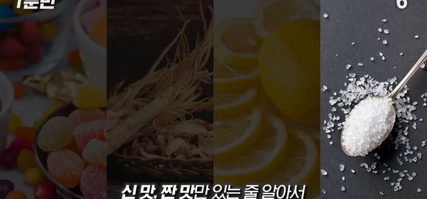 학교에서 배운 '혀 맛' 지도가 잘못됐다..? (37)