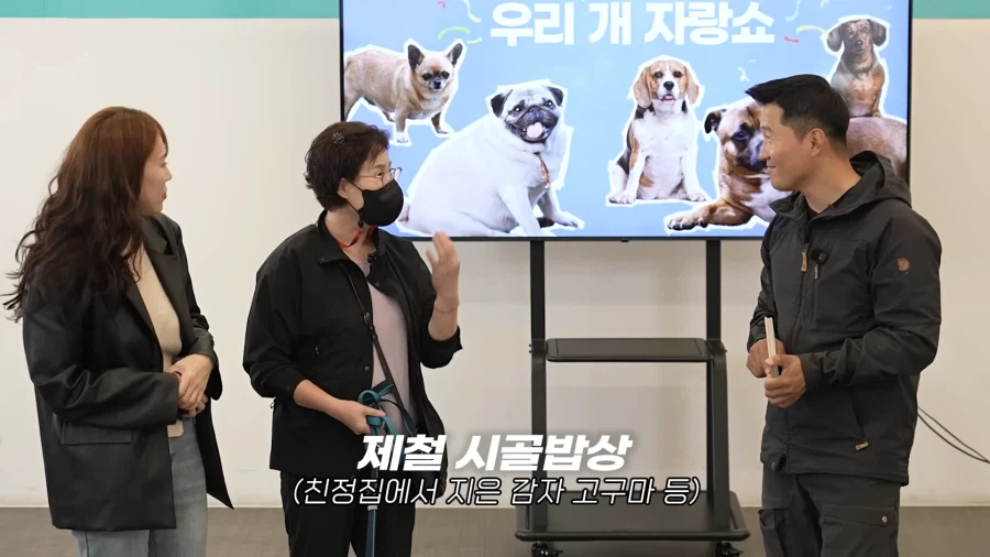 개가 살찐 이유 (4)