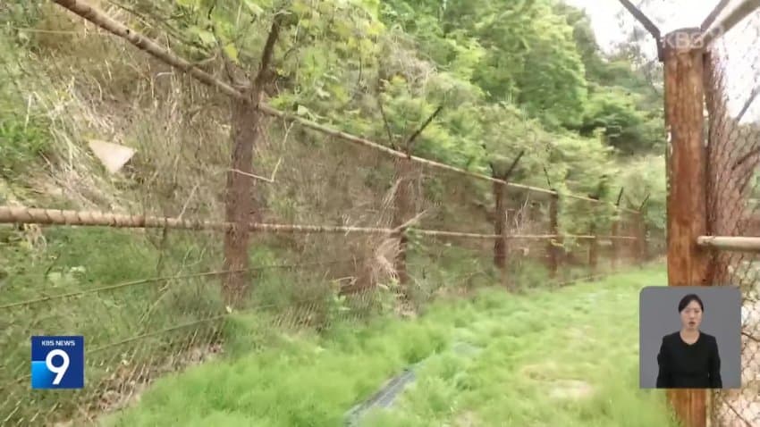 북한, DMZ 지뢰 책임 부인…“1mm 침범도 강력 대응” (34)