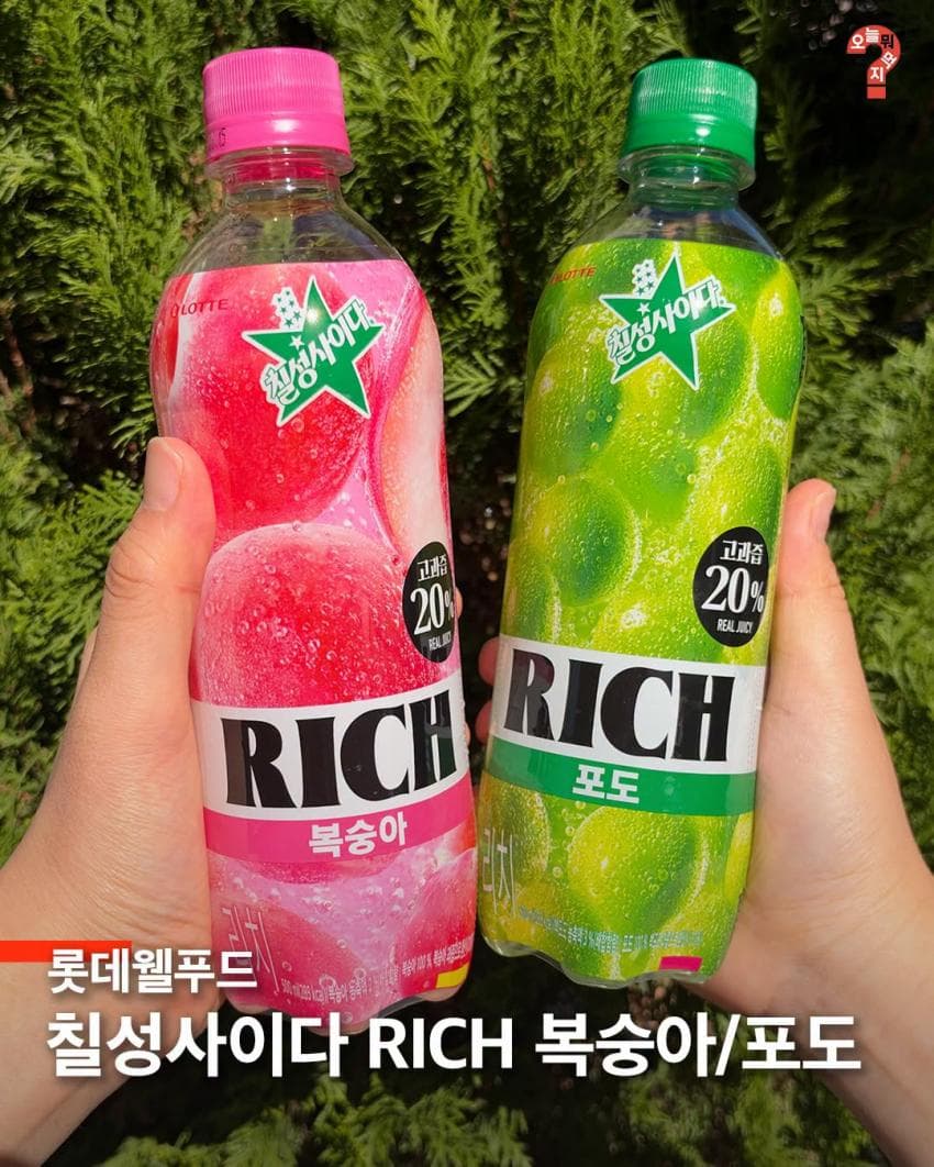 좋은 거 들고 왔습니다. 10월 2주차 주간신상 (8)