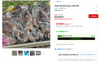 [지마켓] 국내산 갑오징어 2kg (23,600원/무료배송)