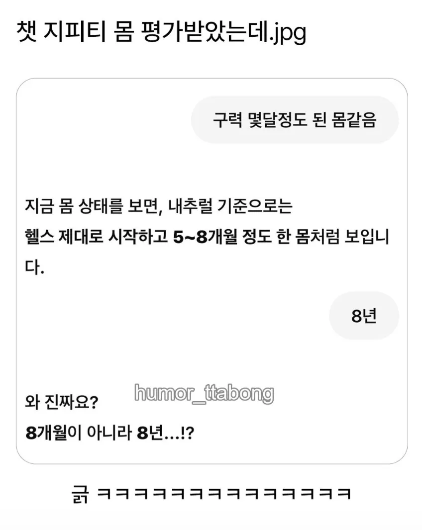챗 GPT한테 몸 평가 받았는데