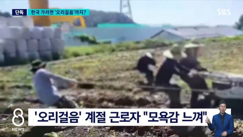 [단독] 지원자 줄지어 '오리걸음'…"못하면 탈락" 무슨 일 (13)