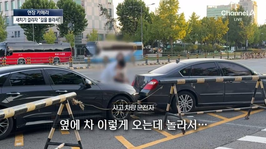채널a) 차 머리부터 '쑥'..야구장 앞 얌체들 (25)