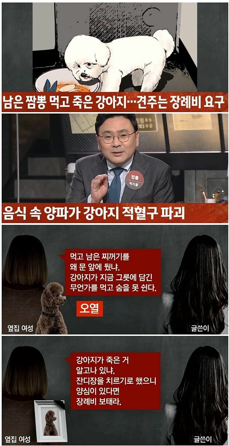 강아지의 죽음